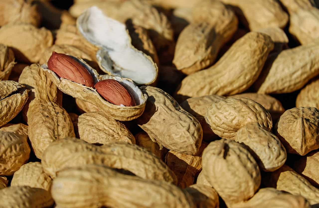 Why Are Peanut Shells Bad Luck in NASCAR